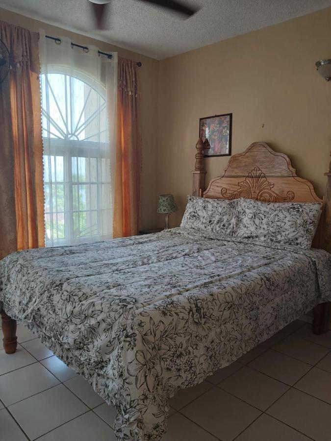 Elegant Condo Awesome View Ocho Rios Dış mekan fotoğraf
